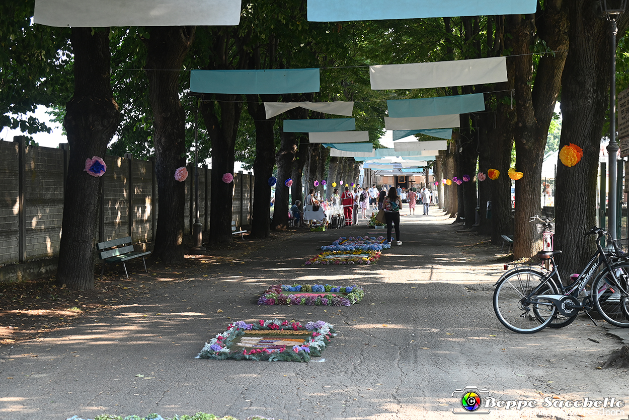 VBS_9883 - Infiorata Santuario della Madonnina di Villanova d'Asti 2024.jpg